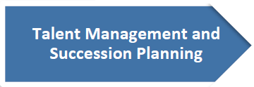 Talent Management and Succession Planning