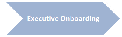 Executive Onboarding