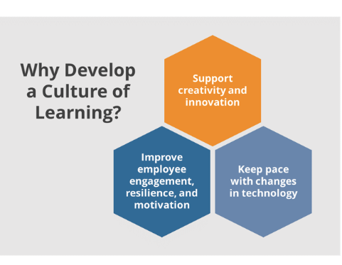 Complex graphic related to the reasons to develop a culture of learning; please contact news@fmpconsulting.com for more information