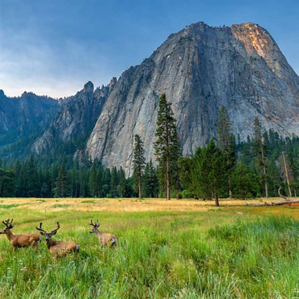 Department of Interior - National Park Service