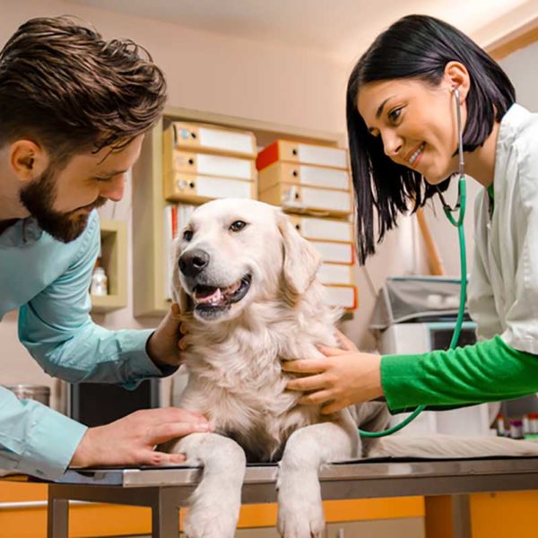 Food and Drug Administration - Center for Veterinary Medicine
