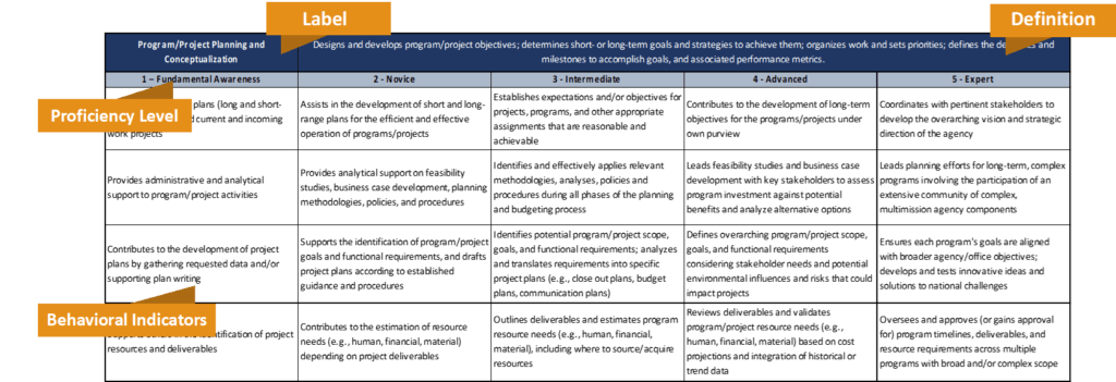 Example Competency with labels: Label, Proficiency Level, Behavioral Indicators, and Definition