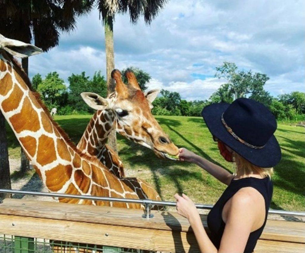 Summer feeding a giraffe.