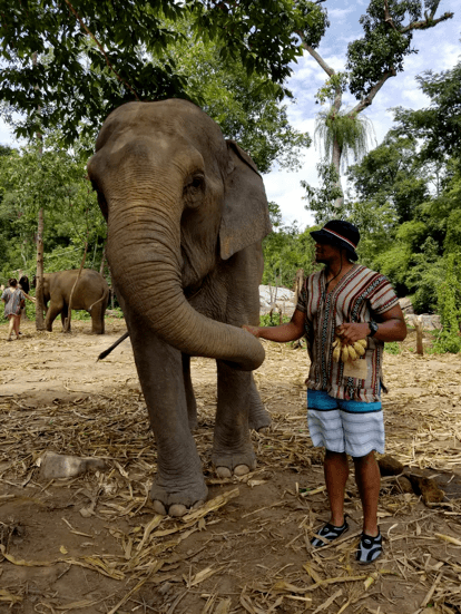 An image of Dom standing next to an elephant, touching its trunk.